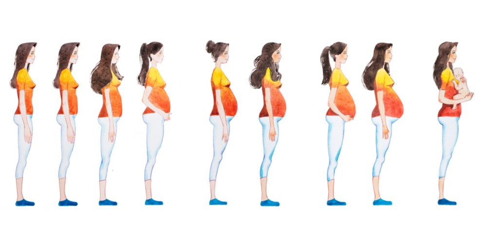 Woman Body Changes During Pregnancy