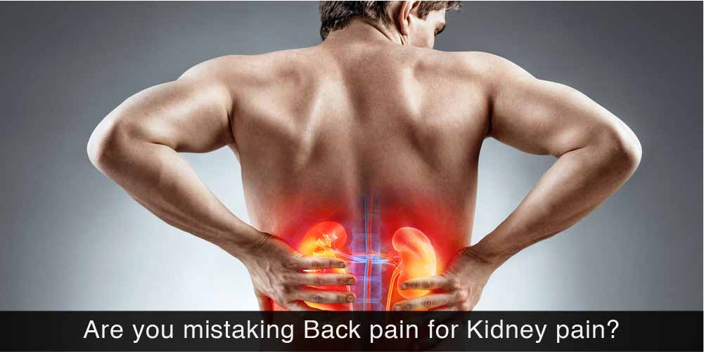 Are You Mistaking Back Pain For Kidney Pain Pristyn Care