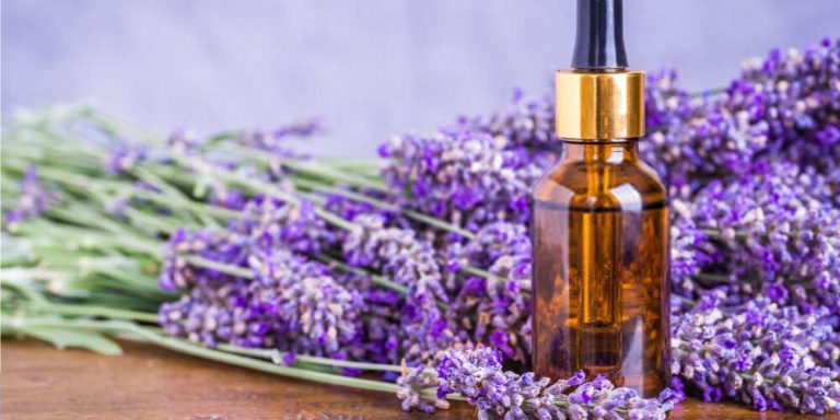 10 Essential Oils That Can Treat Ear Pain - Pristyn Care