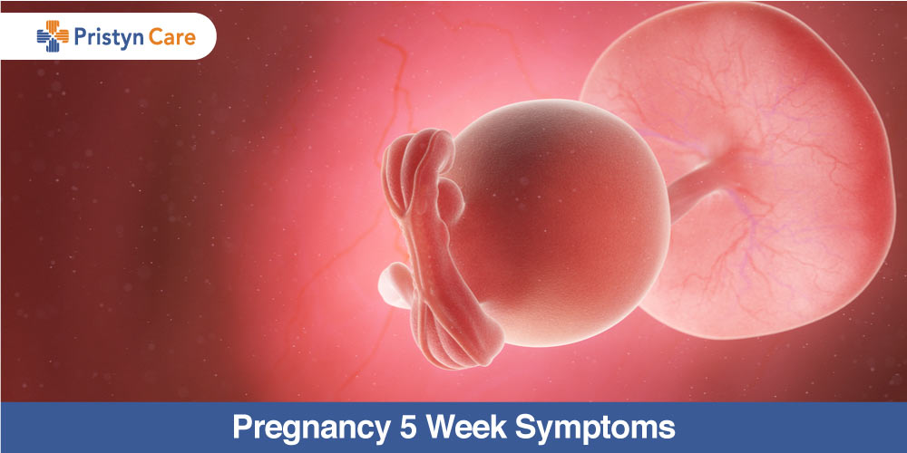 Pregnancy 5 Week Symptoms Pristyn Care