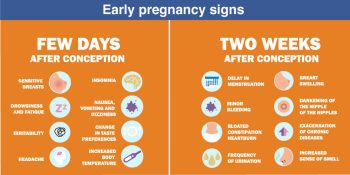 Early Pregnancy Signs 350x175 