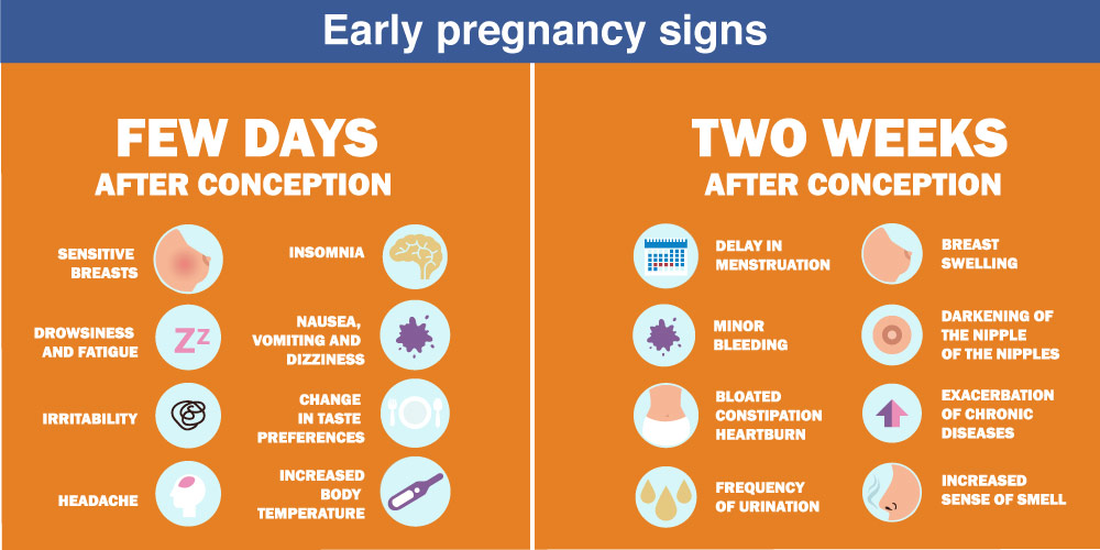 How To Detect Pregnancy Before Missed Period Cloudanybody1