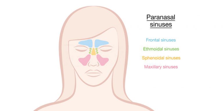 Know About Sinus Pressure Points - Pristyn Care