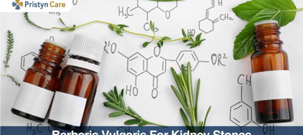 Berberis Vulgaris For Kidney Stones