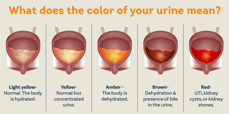 What Does The Color Of Your Urine Mean 768x384 