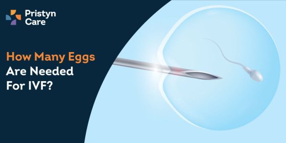 How-Many-Eggs-Are-Needed-For-IVF