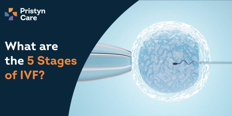 what are the 5 stages of IVF